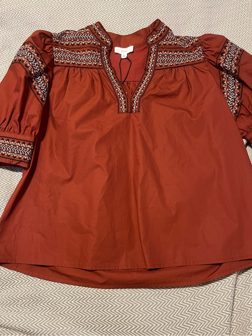 NWT! a loves a Puff Sleeved Embroidered Top. Gorgeous cinnamon color. Small.